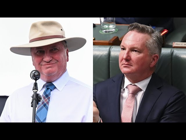 Barnaby Joyce calls on government to ‘remove the prohibition’ on nuclear