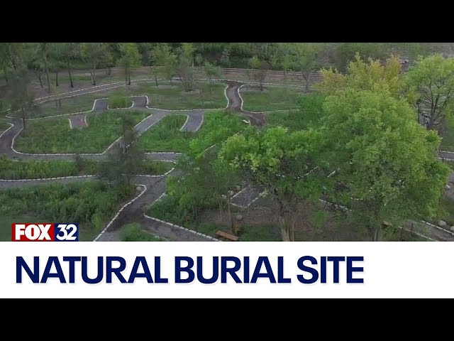 ⁣Archdiocese of Chicago introduces natural burials