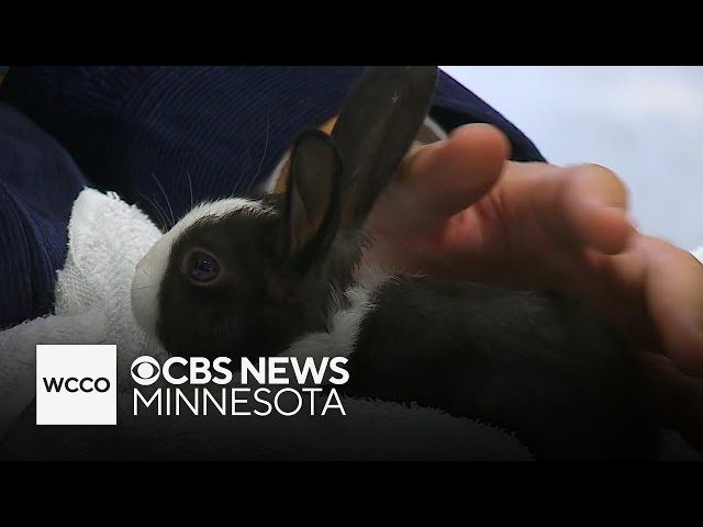 ⁣How the Miracle of Birth Center at the state fair started