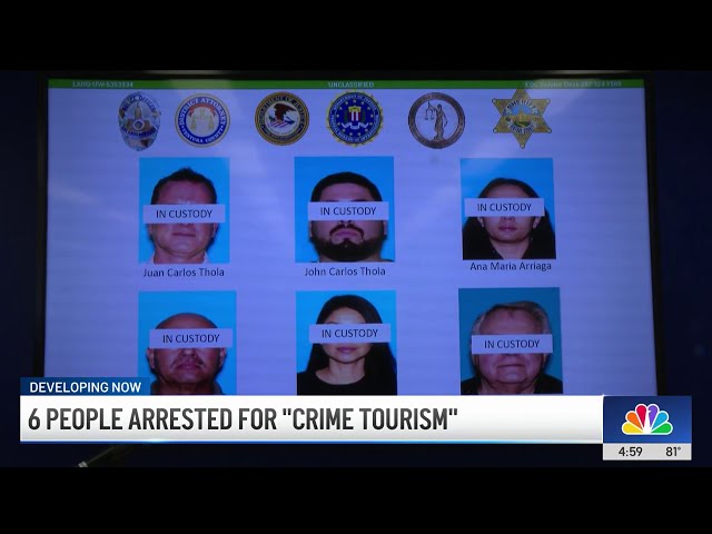 ⁣Six people arrested for leading 'crime tourism' stealing operation