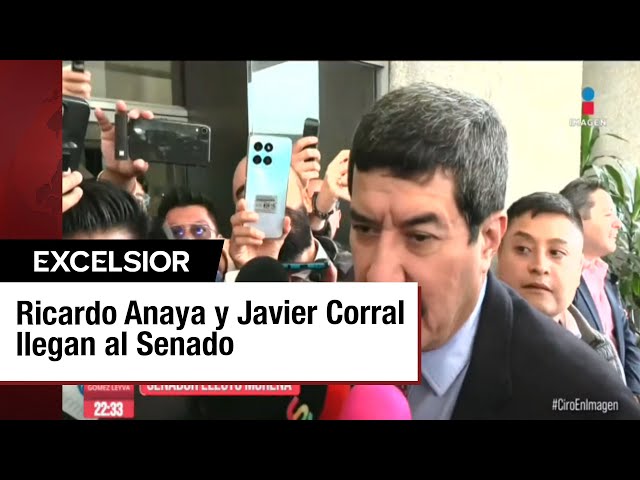 ⁣Ricardo Anaya, Lilly Téllez y Javier Corral serán senadores