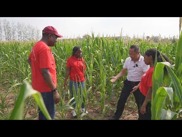 ⁣Bonds of Friendship: Sci-tech backyard program aids Africa's agricultural development