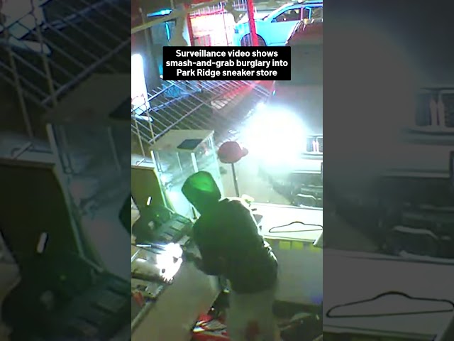 ⁣Shocking video shows smash-and-grab burglary into Park Ridge sneaker store