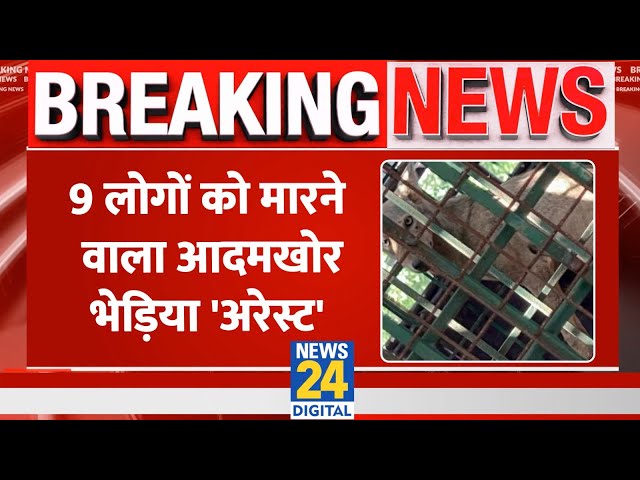 ⁣Breaking: Bahraich में पकड़ा गया 9 लोगों को मारने वाला आदमखोर भेड़िया, आतंक का पर्याय बन गया था