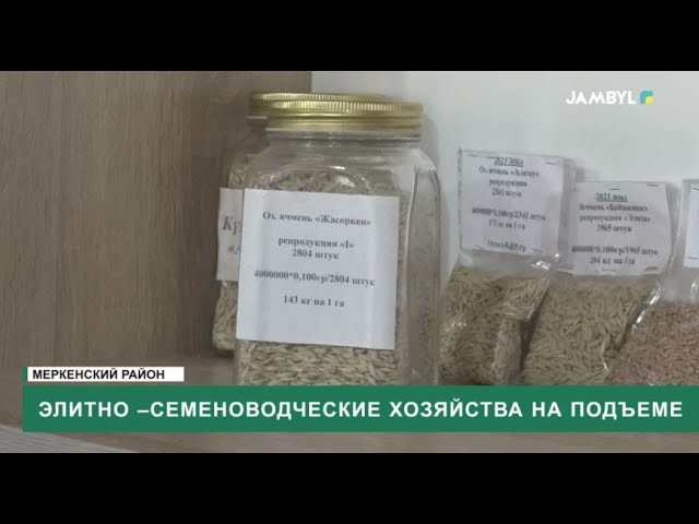 ⁣Элитно –семеноводческие хозяйства на подъеме