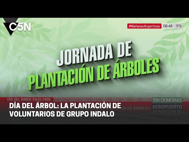 ⁣DÍA DEL ÁRBOL: La PLANTACIÓN de VOLUNTARIOS de GRUPO INDALO