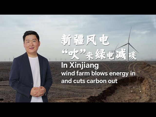 ⁣In Xinjiang, wind farm blows energy in and cuts carbon out