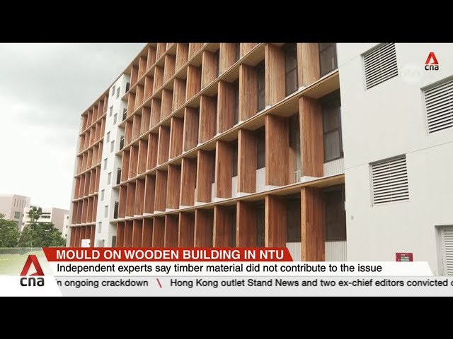 ⁣Mould on building in NTU: Deep cleaning underway at affected rooms and spaces will take 3 weeks