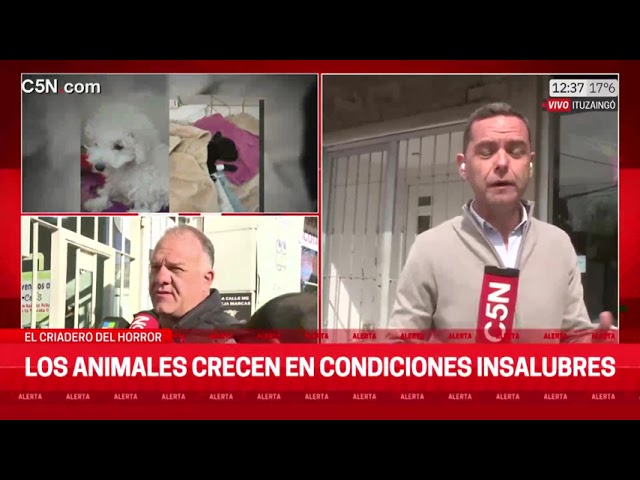 ⁣EL CRIADERO del HORROR: EN ESTE LUGAR ENTREGABAN A LOS PERROS