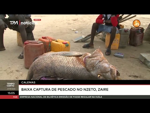 Calemas - Baixa captura de pescado no Nzeto, Zaire