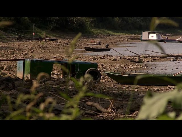 ⁣La sècheresse frappe les agriculteurs en Hongrie