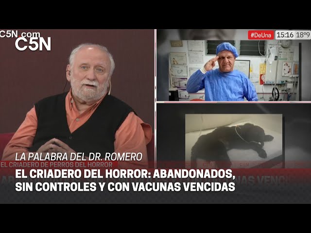 ⁣El CRIADERO del HORROR: venden CACHORROS al borde de la MUERTE