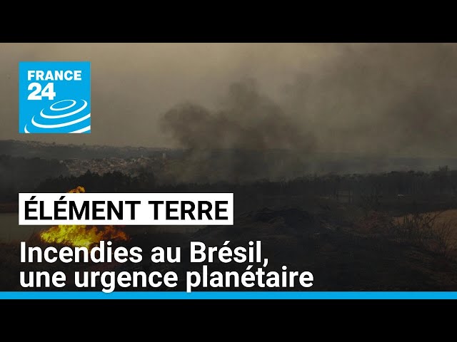 ⁣Les feux au Brésil: quand nos puits carbones partent en fumée • FRANCE 24