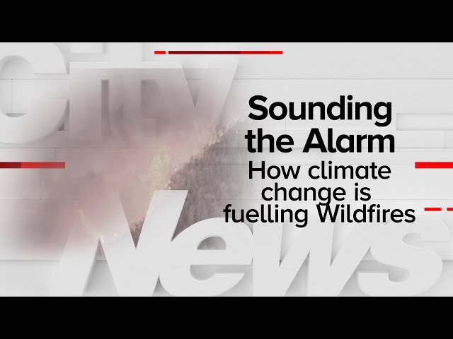 ⁣CityNews Connect: How climate change is impacting B.C.'s wildfire season