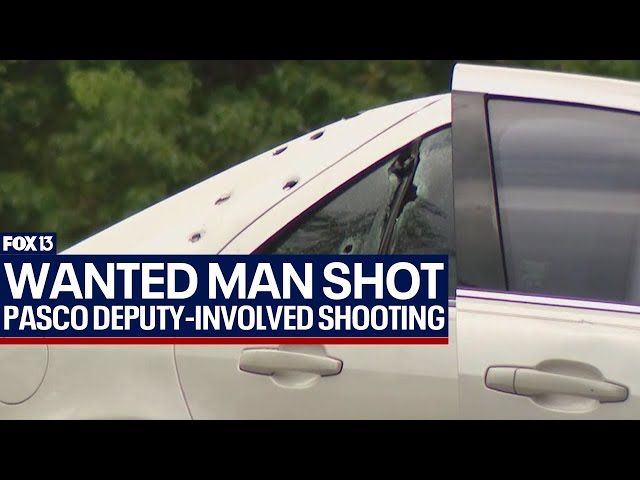 ⁣Wanted suspect shot by Florida detective after trying to hit him with car