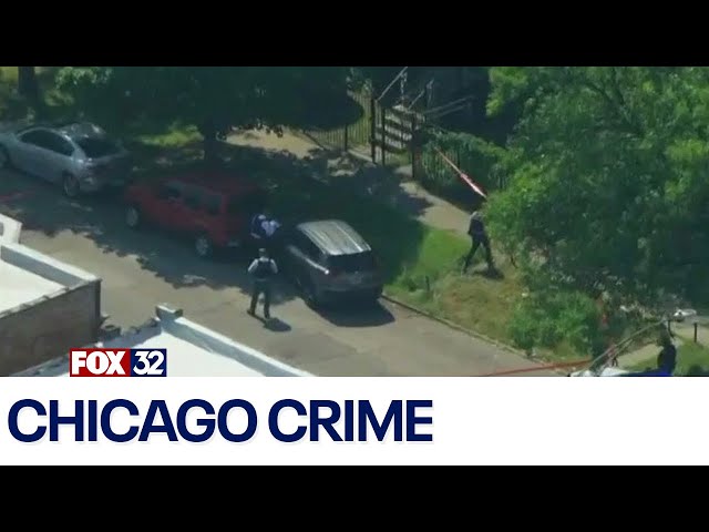 ⁣Chicago crime: Woman dies after being shot in the head while fleeing from gunmen