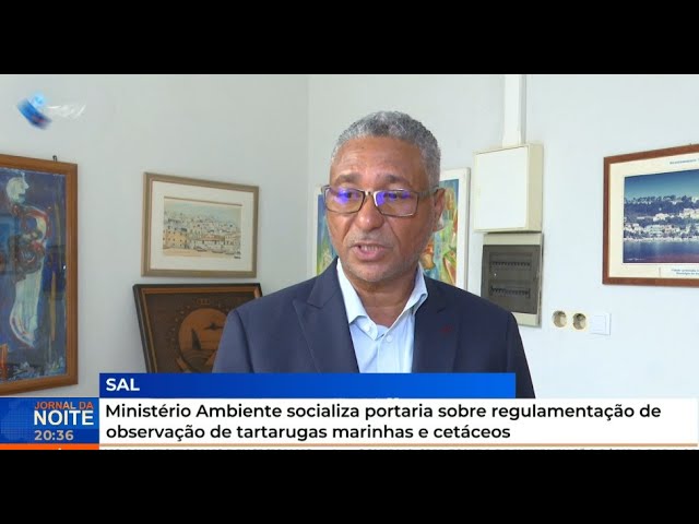 ⁣Ministério Ambiente socializa portaria sobre regulamentação observação tartarugas marinhas e cetáceo