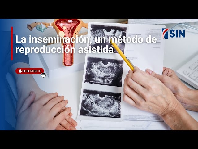 ⁣La inseminación, un método de reproducción asistida