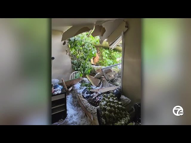 ⁣Tree crashes into Canton home during storm, injuring one, neighbors seek support for homeowner