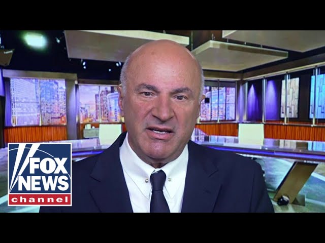 ⁣Kevin O'Leary: Kamala Harris' economic policy is 'UNAMERICAN'