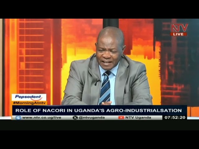 ⁣Role of NACORI in Uganda's agro-industrialisation | MORNING AT NTV