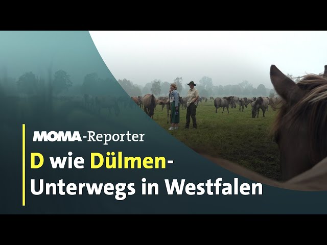 ⁣Unterwegs in Westfalen | ARD-Morgenmagazin