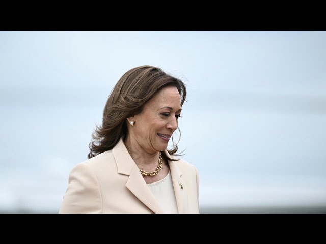 ⁣CNN interview made Kamala Harris look 'small and awkward'