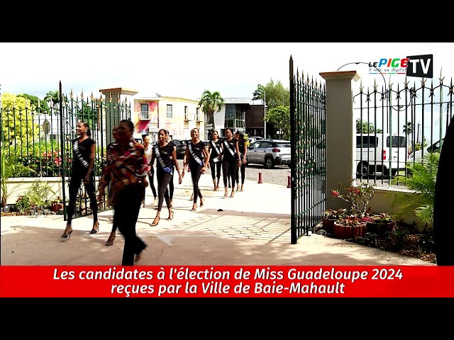 Les candidates à l'élection de Miss Guadeloupe 2024 reçues par la Ville de Baie-Mahault