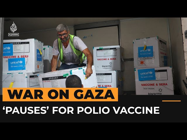 What we know about ‘pauses’ in Gaza fighting & polio vaccine drive | Al Jazeera Newsfeed