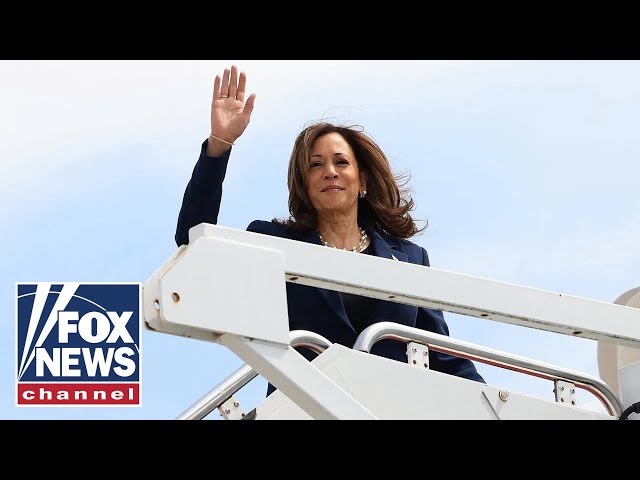 ⁣Kamala Harris is 'failing up': Rep. Cammack