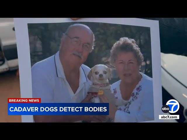 ⁣Missing Redlands couple: Cadaver dog detects at least 1 body underneath home