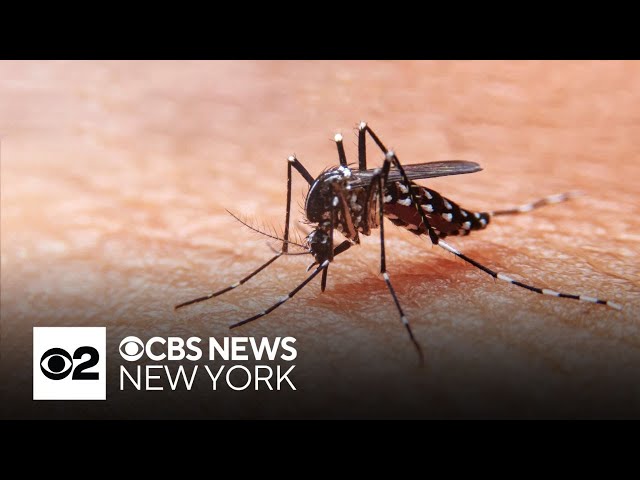 ⁣2 West Nile virus deaths, 1 case of EEE reported in New Jersey