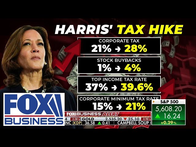 ⁣'DANGEROUS': Economist explains what Kamala Harris tax plan means for you