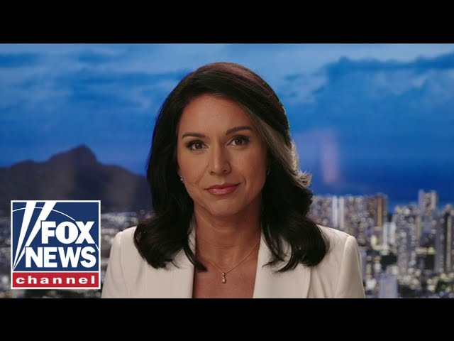 ⁣Tulsi Gabbard: This interview was ‘massively hyped up’