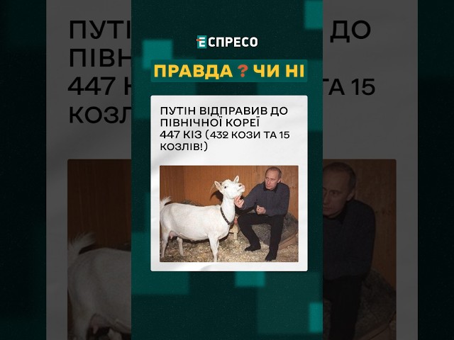 ⁣ Здобутки наддержав! Путін продав Кіму 447 кіз! ❓ПРАВДА ЧИ НІ? #еспресо #новини