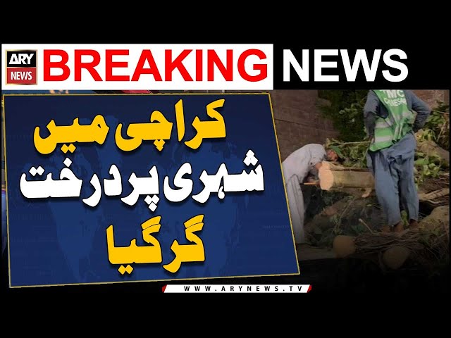 ⁣Fatal tree fall accident in karachi - ARY Breaking News