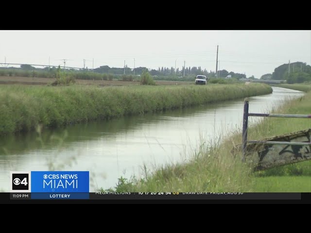 ⁣Surveillance video captures men rushing to help riders after ATV plunges in canal