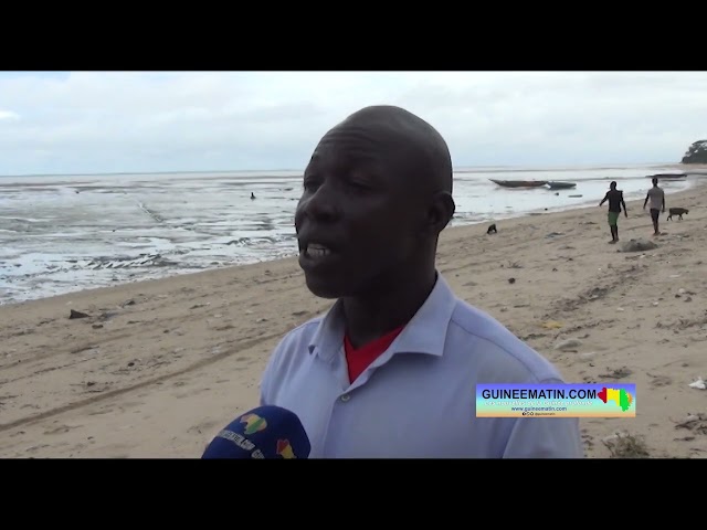 ⁣ Inondations à Conakry : le village de Tayaki sérieusement impacté par la montée des eaux