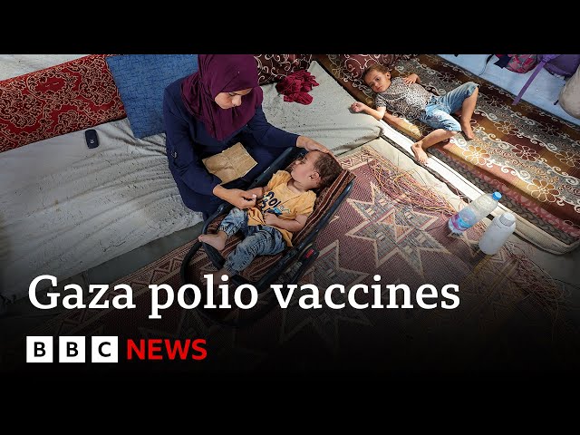 ⁣UN to roll out mass polio vaccinations in Gaza | BBC News