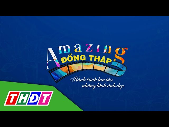 ⁣Trailer Cuộc thi video clip Amazing Đồng Tháp | THDT