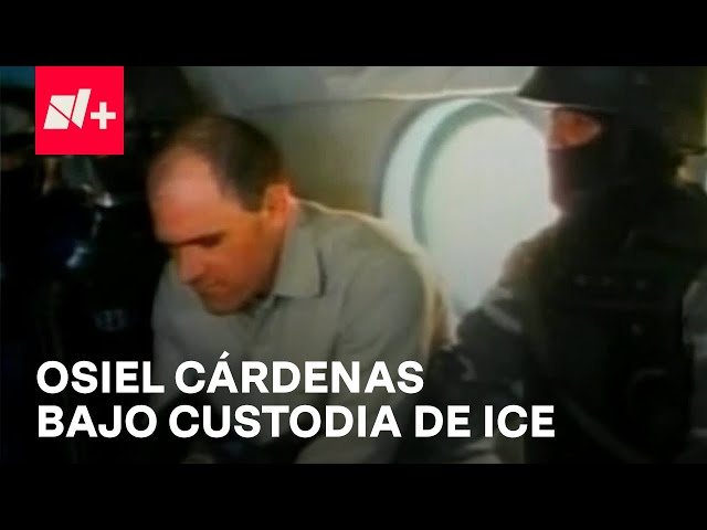 Osiel Cárdenas Guillén en custodia de autoridades de Inmigración y Aduanas de EUA - En Punto