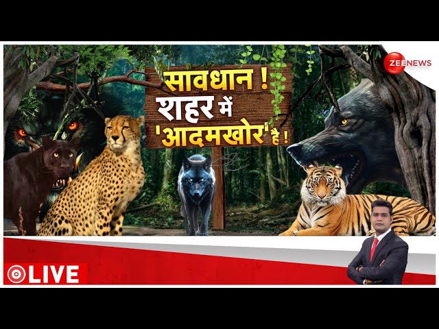 ⁣सावधान! शहर में 'आदमखोर' |Tiger Attack | Lakhimpur | Bahraich Wolf Attack | Latest Update 