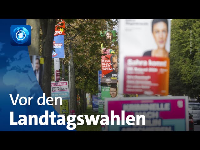 ⁣Vor den Landtagswahlen in Thüringen und Sachsen