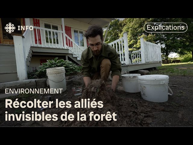 ⁣La recette de l’agriculture naturelle coréenne | La semaine verte