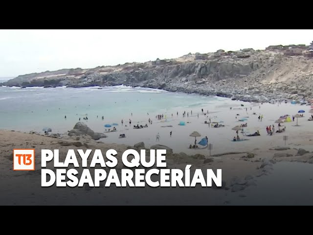 Entre ellas Hornitos, Concón, Reñaca Las playas que desaparecerían en Chile