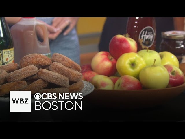 ⁣Celebrating the start of apple picking season with Cider Hill Farm