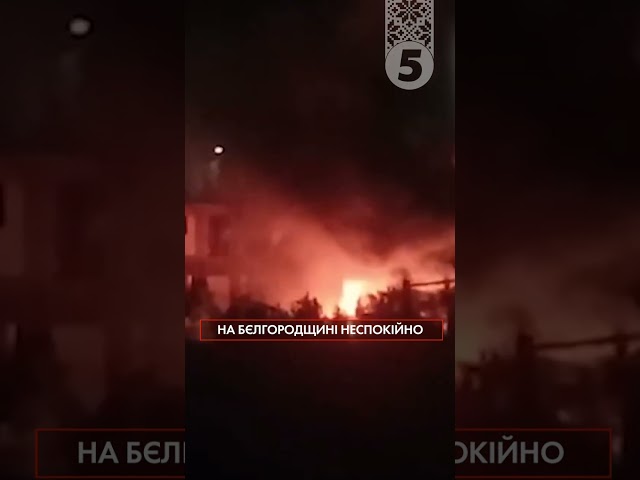 ⁣НОВА ПОРЦІЯ БАВОВНИ!