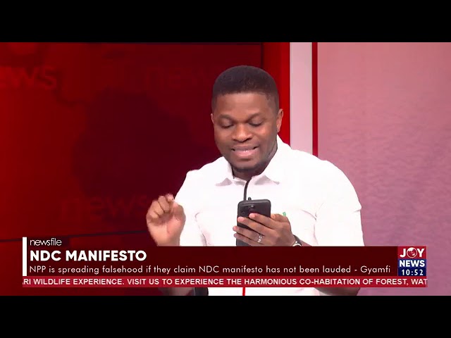 ⁣NPP is spreading falsehood if they claim the NDC manifesto has not been lauded - Sammy Gyamfi