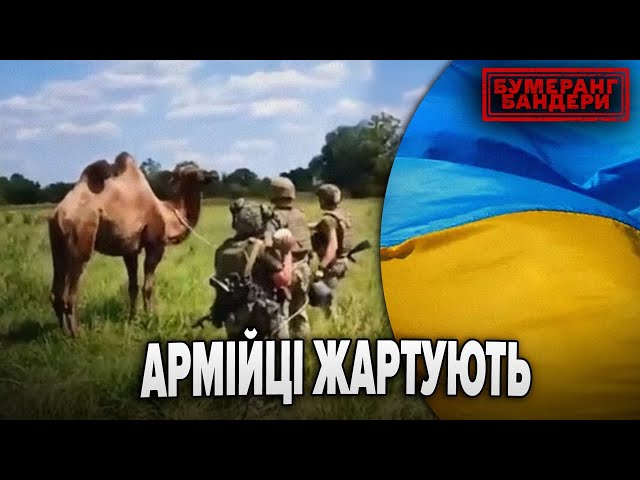 ⁣АРМІЙЦІ ЖАРТУЮТЬ!  || Бумеранг Бандери