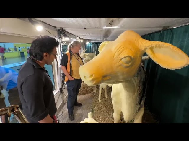 ⁣Iconic butter cow ready to welcome visitors at annual Michigan State Fair